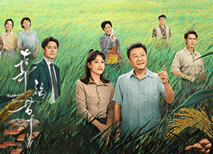 幸福草.png
